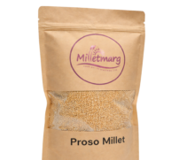 ChatGPT Image Mar 13, 2026, 11_35_30 AM